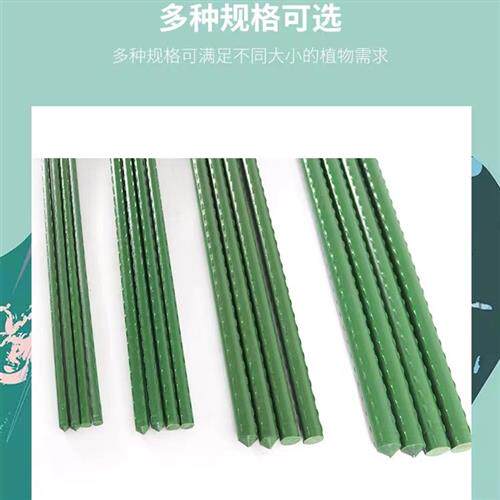 园艺用品庭院种植大棚包塑钢管支柱支架植物瓜果花卉藤蔓爬藤架子