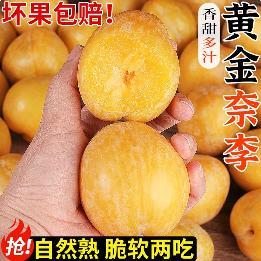 黄金奈李正宗韶关乐昌九峰山新鲜水果应季脆甜冰糖蜂蜜脆骨李子10