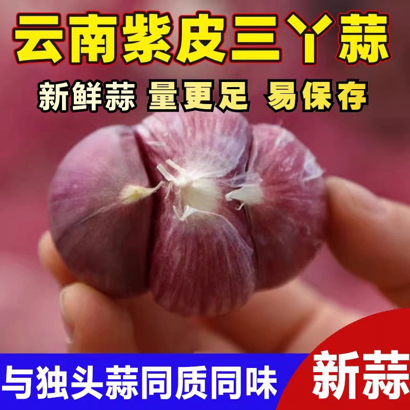 2026现挖新鲜三丫蒜大蒜头鲜蒜云南特产紫皮湿蒜腊八蒜嫩蒜多瓣蒜