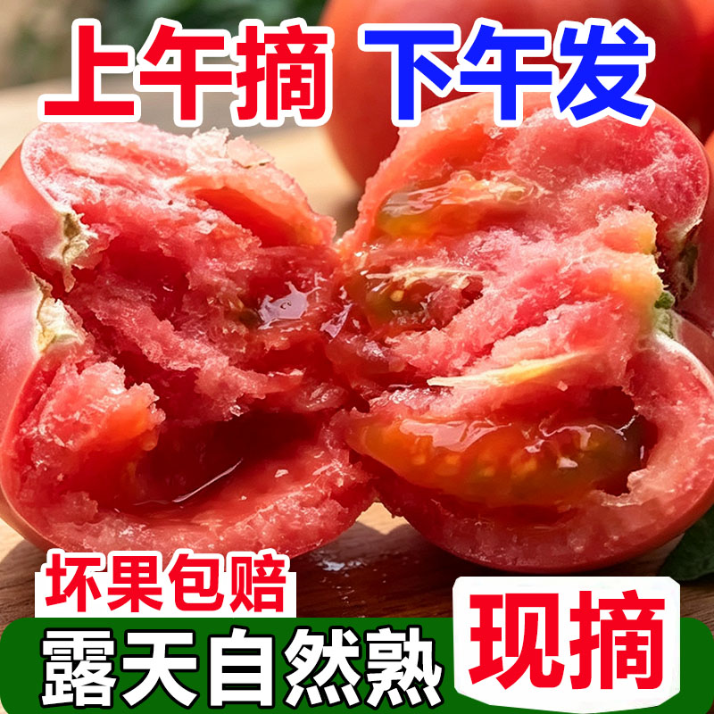 沙瓤5斤西红柿新鲜水果自然熟农家老品种生吃非普罗旺斯露天番茄