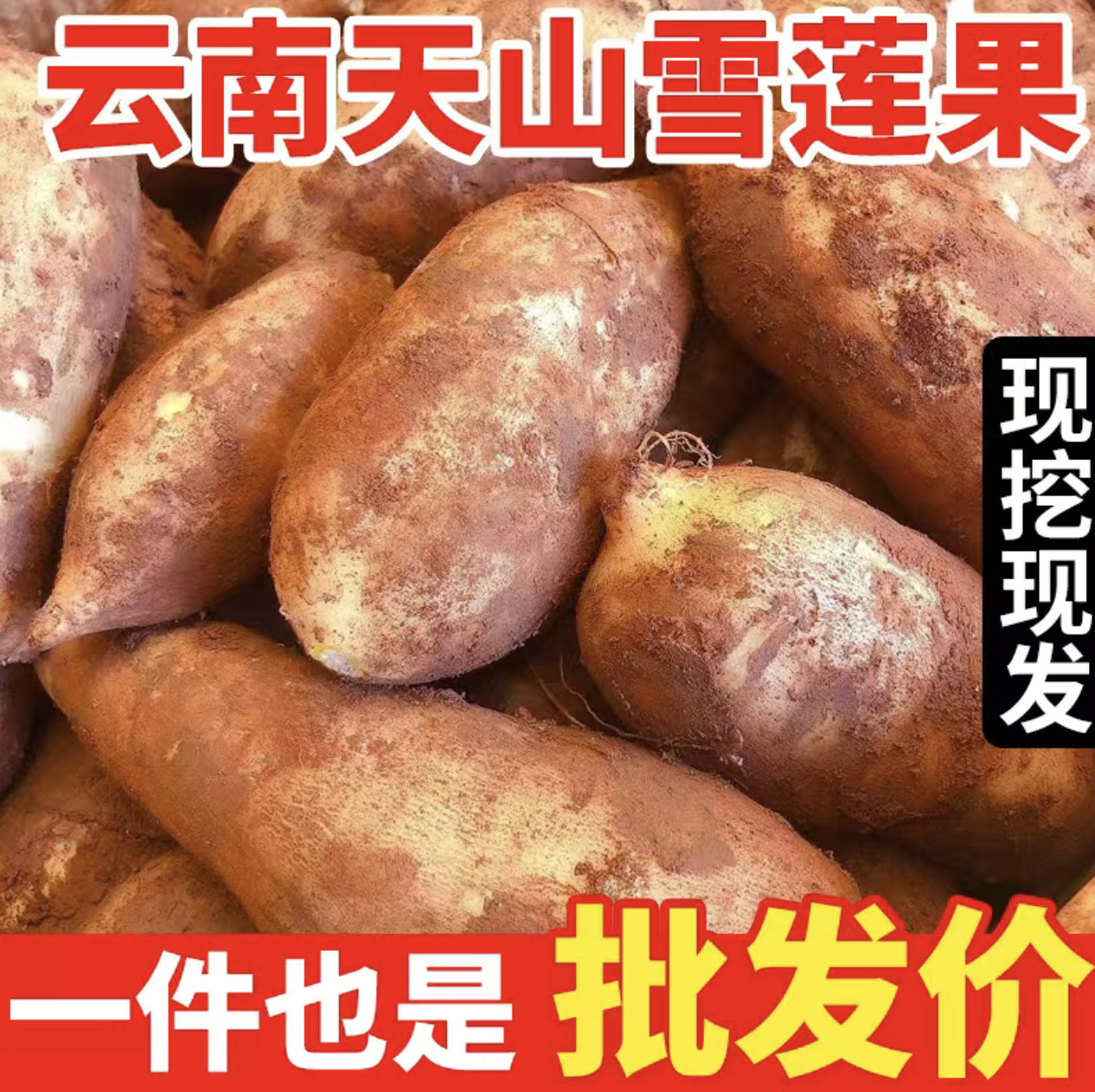 云南天山雪莲果9斤新鲜红沙泥雪莲果新鲜水果时令水果10整箱包邮5