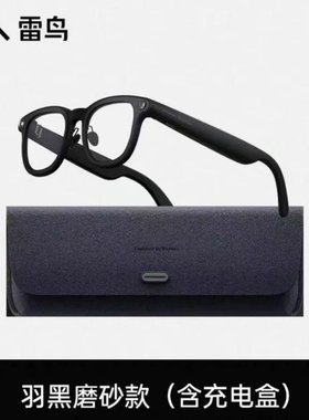 RayNeo雷鸟V3 Slim AI拍摄眼镜无线智能眼镜蓝牙音频眼镜无线耳机
