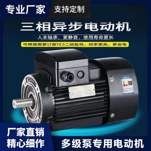 格兰富款CDL多级泵专用电动机