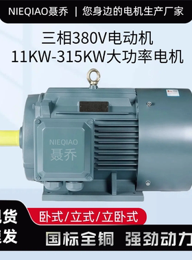 三相电动机11/15/18.5/22/30/37/45/55/75KW千瓦全铜380V聂乔电机