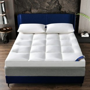 学生宿舍床垫酒店同款床垫加厚软垫子民宿宾馆垫被家用褥子租房垫