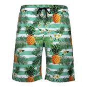 男式 3D印花大码 速干沙滩裤 2025新款 跨境热卖 休闲短裤 运动裤