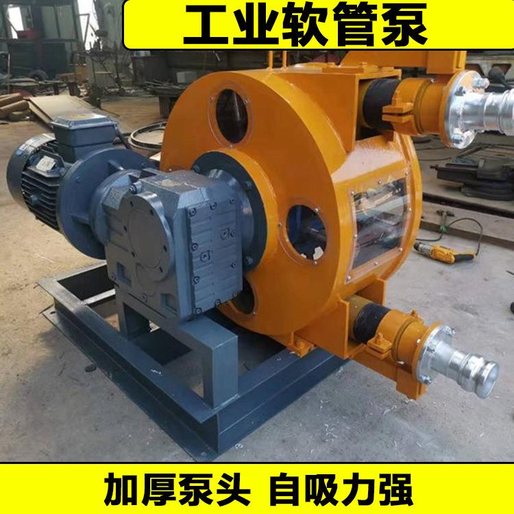 RGB75耐腐蚀挤压式蠕动泵液体危险废物输送大流量渣液工业软管泵