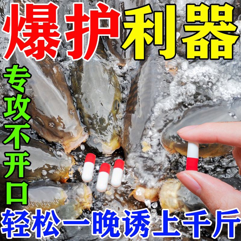 鱼诱一粒爆野钓黑坑钓鱼超强诱一鱼饵添加剂