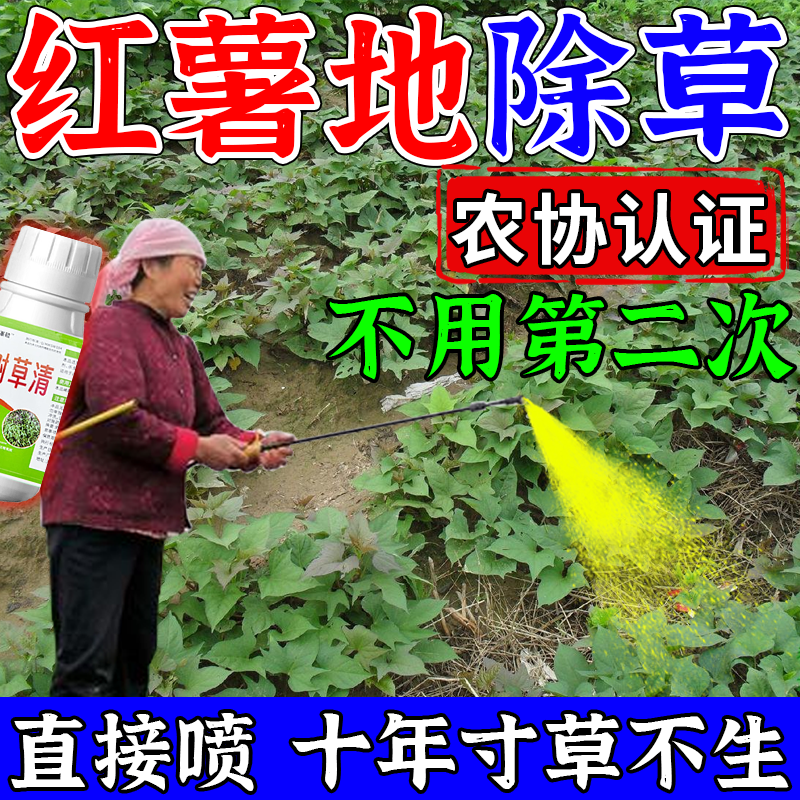 红薯苗后除草专用烂根剂一扫光三年不长草除杂草封闭药安全不伤苗