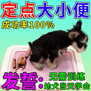 狗狗定点排便神器训练宠物小狗上厕所诱导剂防止狗狗乱拉屎大小便