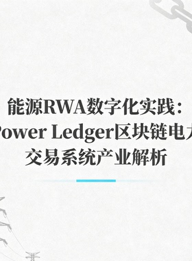 能源RWA数字化实践：Power Ledger区块链电力交易系统产业解析