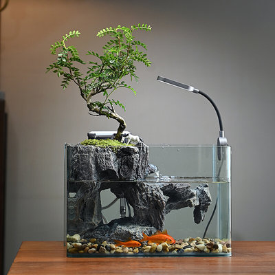 假山过滤流水摆件循环水桌面鱼缸造景植物中型客厅办公室装饰景观