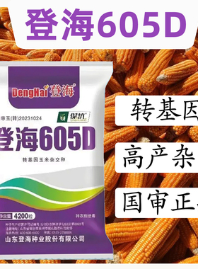 登海605D玉米种子转基因玉米种子抗草甘膦抗虫抗病高产正品玉米种