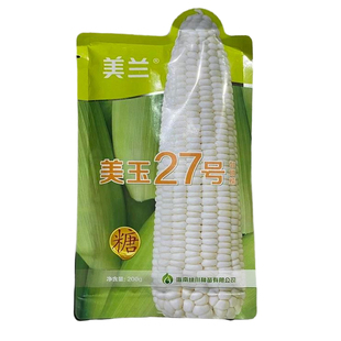 美兰美玉27号糯玉米种子白甜糯大棒早熟矮杆春秋玉米种子籽孑
