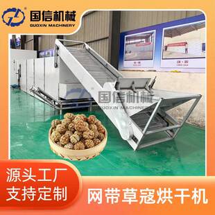 大型草豆蔻草蔻仁连续烘干机海南山姜烘干设备网带式草寇烘干机
