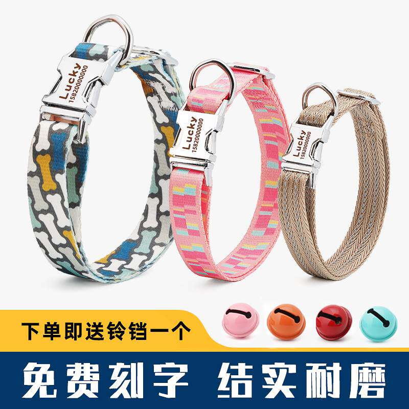 项圈中小型犬防丢狗牌脖圈小狗狗套头脖套栓泰迪拉布拉多金毛专用