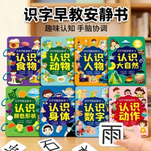 识字早教安静书宝宝识字幼儿识字认字撕撕书粘贴魔术贴早教3-6岁
