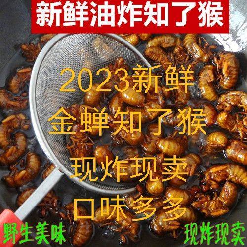 新鲜油炸金蝉知了猴熟食金蝉蛹现炸现发货开袋即食山东特产多口味