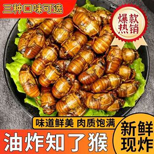 油炸金蝉开袋即食熟食野生鲜活现炸现卖果园现抓大个知了猴龟山东