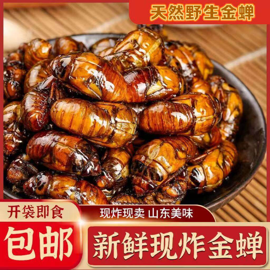 现抓金蝉油炸知了猴现炸先发爬虫知了龟新货肉质饱满酥脆美味昆虫