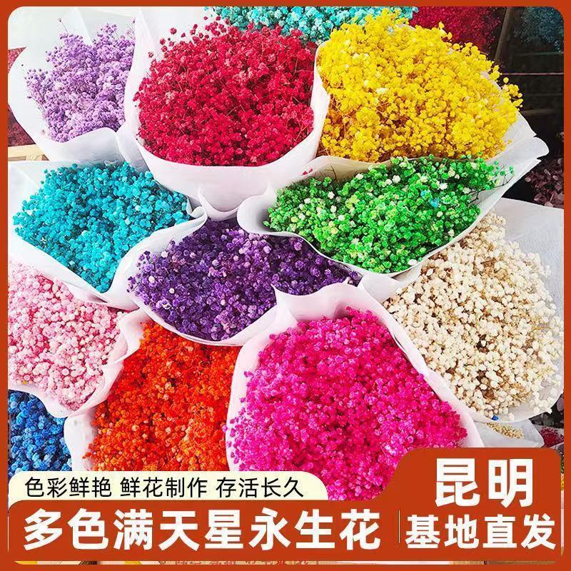 【精品】【多种颜色】永生花满天星鲜花束送人diy手工礼物干花场