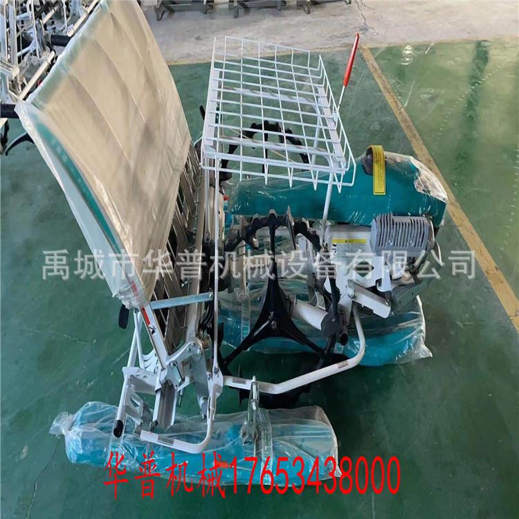 农用全自动种汽油水插2ZS-4G稻秧机 水田用栽苗机 手扶稻水植机