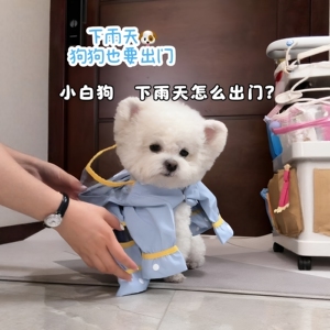 【自带鞋子】下雨天户外遛狗宠物小狗雨衣比熊博美全包防水四脚衣