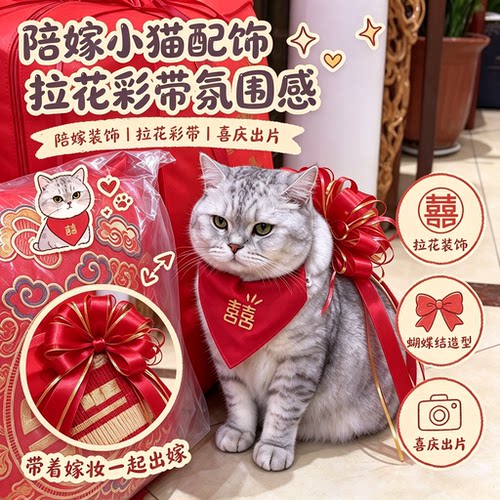 婚庆小猫结婚拉花彩带蝴蝶结