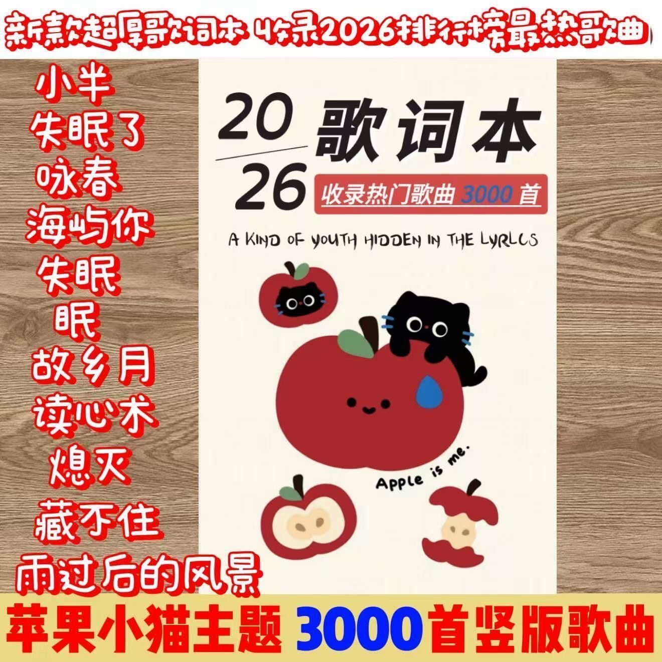 2026新款歌词本火爆流行音乐经典华语乐坛网易云歌曲免抄书300