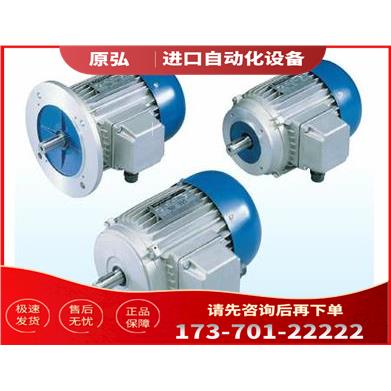 意大利RAEL电机 RAEL RAEL防爆电机V80S4B5/0.75KW【议价】