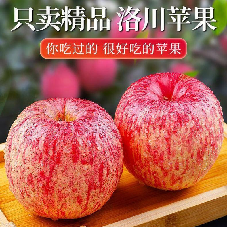 正宗陕西洛川苹果红富士脆甜当季新鲜水果一级精选特产产地直供,水产肉类/新鲜蔬果/熟食,苹果,淘宝优惠券,粉丝福利购,淘宝优惠卷