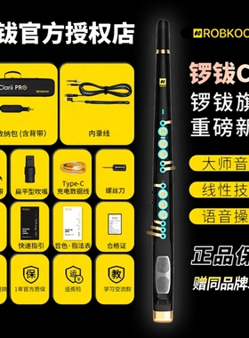 ROBKOO锣钹新款C20电吹管乐器国产电子管真采样萨克斯官方旗舰店