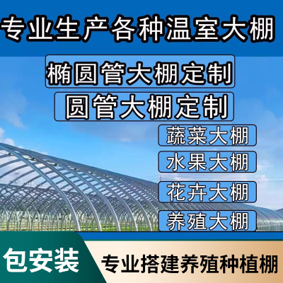 连栋大棚临时建设拱杆耐用生态温室蔬菜棚双膜养牛棚钢骨架畜牧