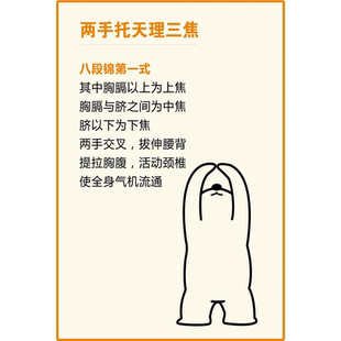 八段锦挂图贴画健身气功中医养生馆海报广告背景墙装饰贴画壁纸