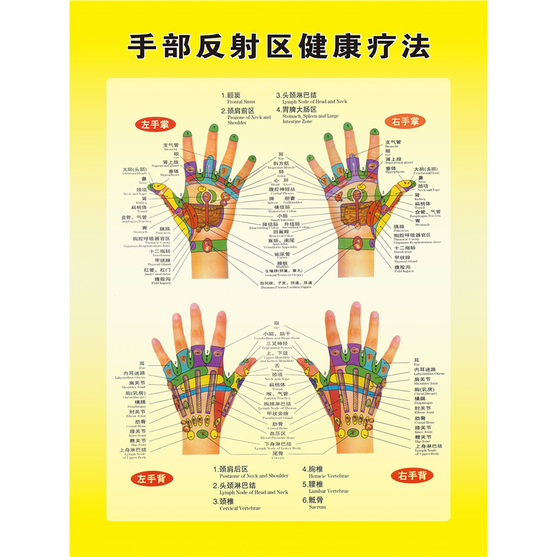 手部经络图手部反射区挂图手部穴位图纹路图手诊经络穴位宣传海报