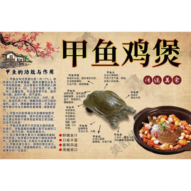 甲鱼鸡煲饭店餐馆美食菜品海报墙贴海报广告贴纸写真贴纸装饰画