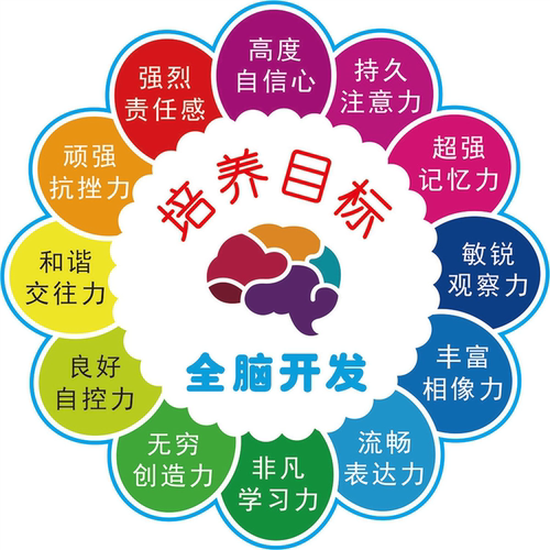 全脑开发二海报展板全脑开发一全脑潜能开发10大能力墙贴墙纸KT板