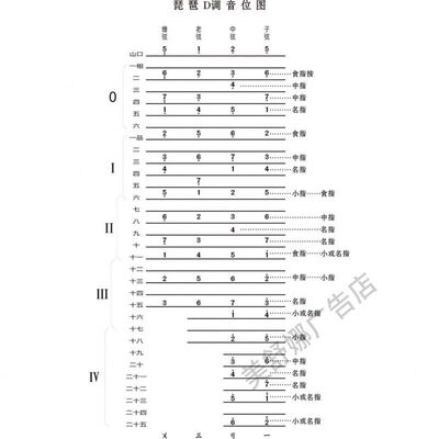 民族乐器琵琶D调把位图海报墙贴自粘贴画