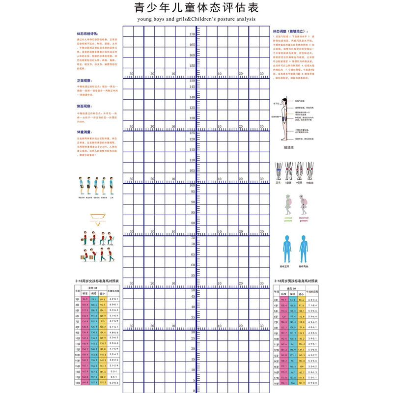 青少年儿童体态评估表调整身高对照表海报定印制展板贴纸kt板