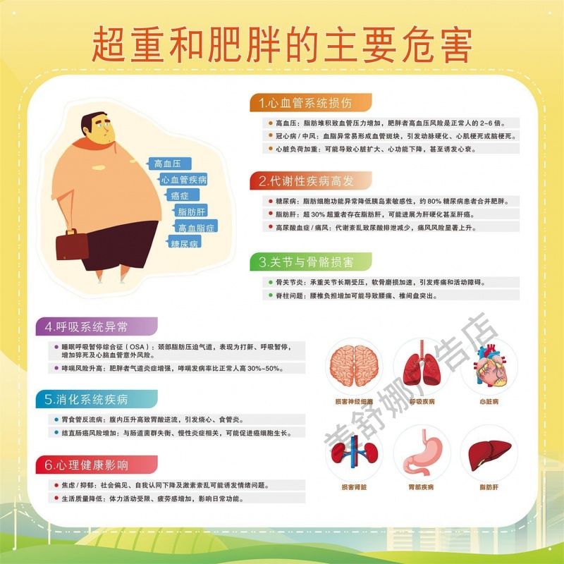 2025年BMI综合分析超重和肥胖的主要危害贴纸/肥胖管理策略海报画