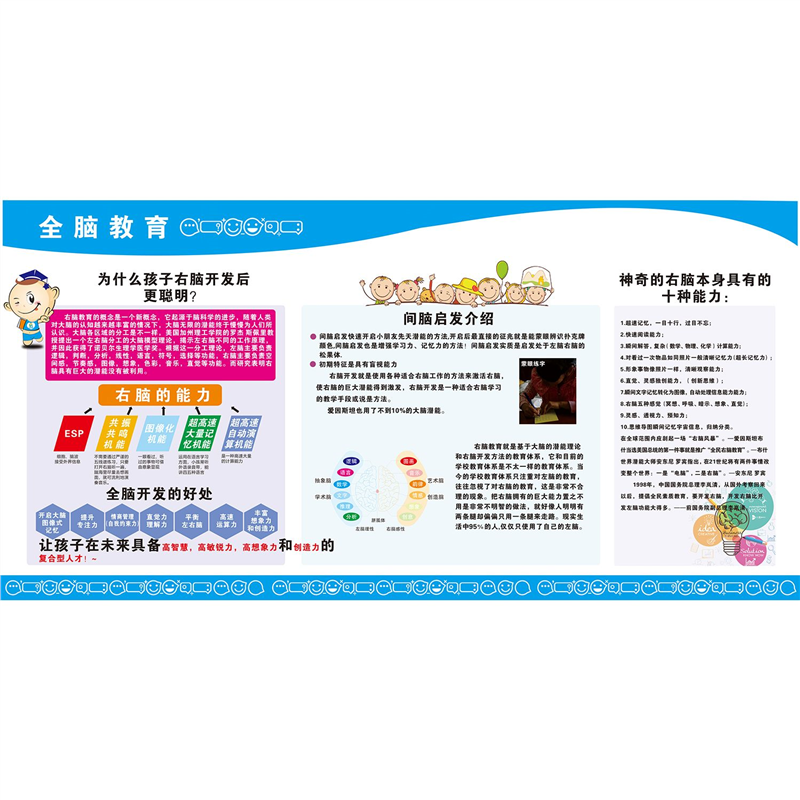 全脑开发与学习系列挂图人脑正中纵剖图大脑皮层结构图海报墙贴纸