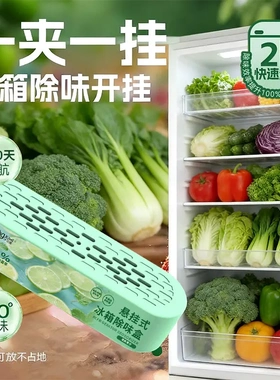 【冰箱保鲜】悬挂款冰箱橱柜除味祛味日用套装 双腔除味盒BDI