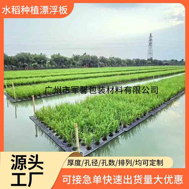 水上种植浮床 水培水稻浮板 鱼塘漂浮面板水培蔬菜定值面板