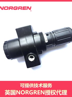 R17-800-RGLG RGLA RGLB NGLG  NORGREN 诺冠 管接式调压阀