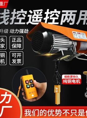 PA200固定式线控两用微型电动葫芦E220V家用小型吊机卷扬提升机