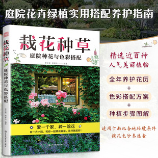 责编 黄基传 韩冰江苏美术9787574106697 黎彩敏 栽花种草：庭院种花与色彩搭配编者