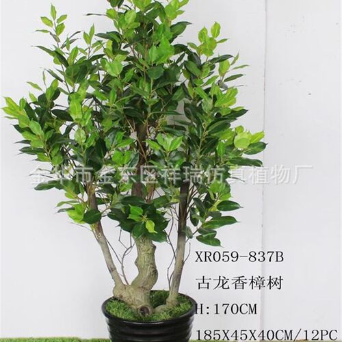 过胶香樟叶假g树1.7米香樟树叶落地盆景客厅店铺商场装饰摆设