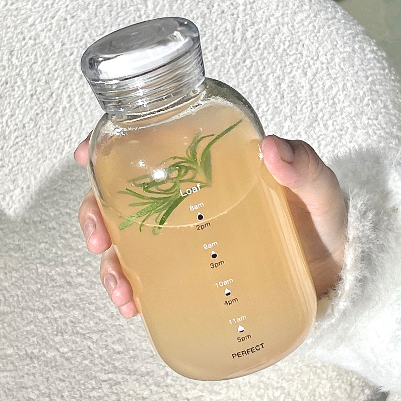 ins风耐热玻璃杯便携水杯