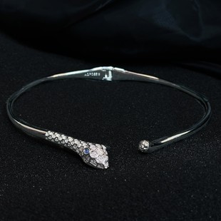 AOPOSS白姿[伊甸园银蛇]项圈项链女款原创设计小众饰品气质时尚