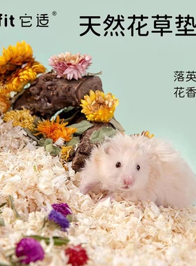 Tafit它适梦花园仓鼠花草垫料金丝熊专用笼子装饰造景干花草用品